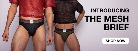 Mesh Brief