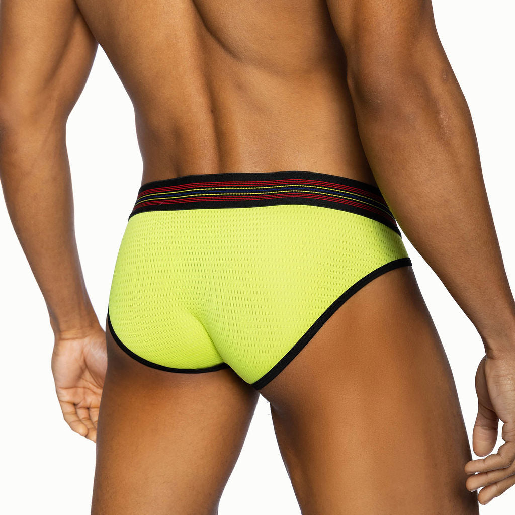 Mesh Brief