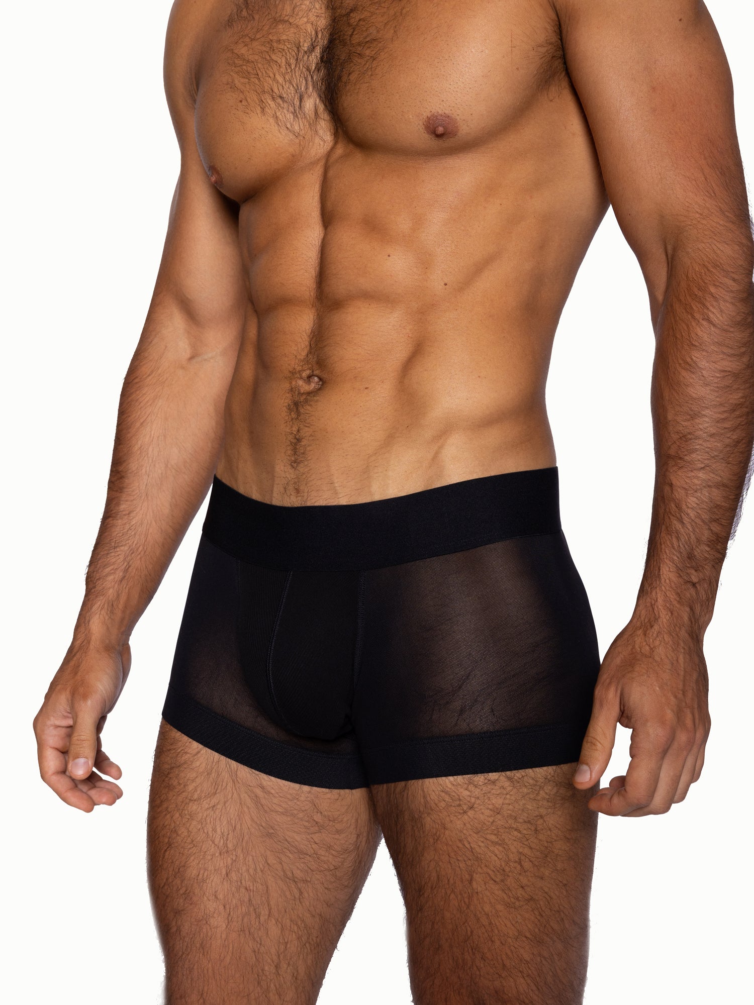 Power Lift Mesh Trunk Underwear image