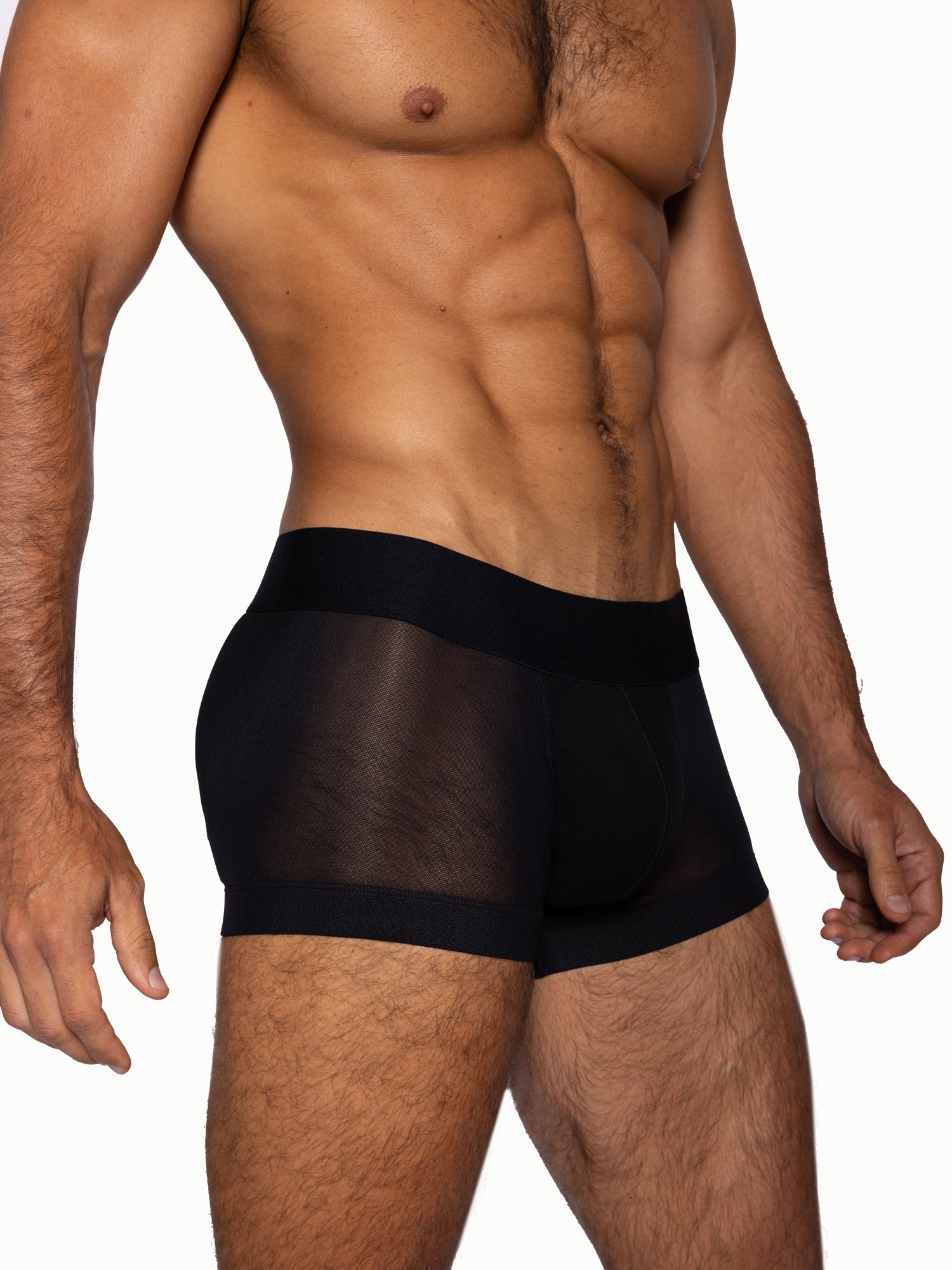 Power Lift Mesh Trunk Underwear image