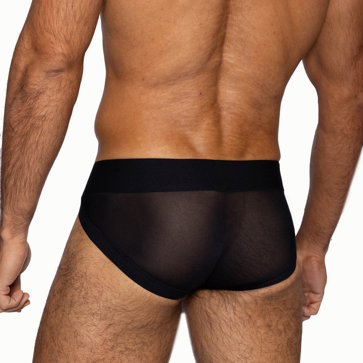 Power Mesh Brief image