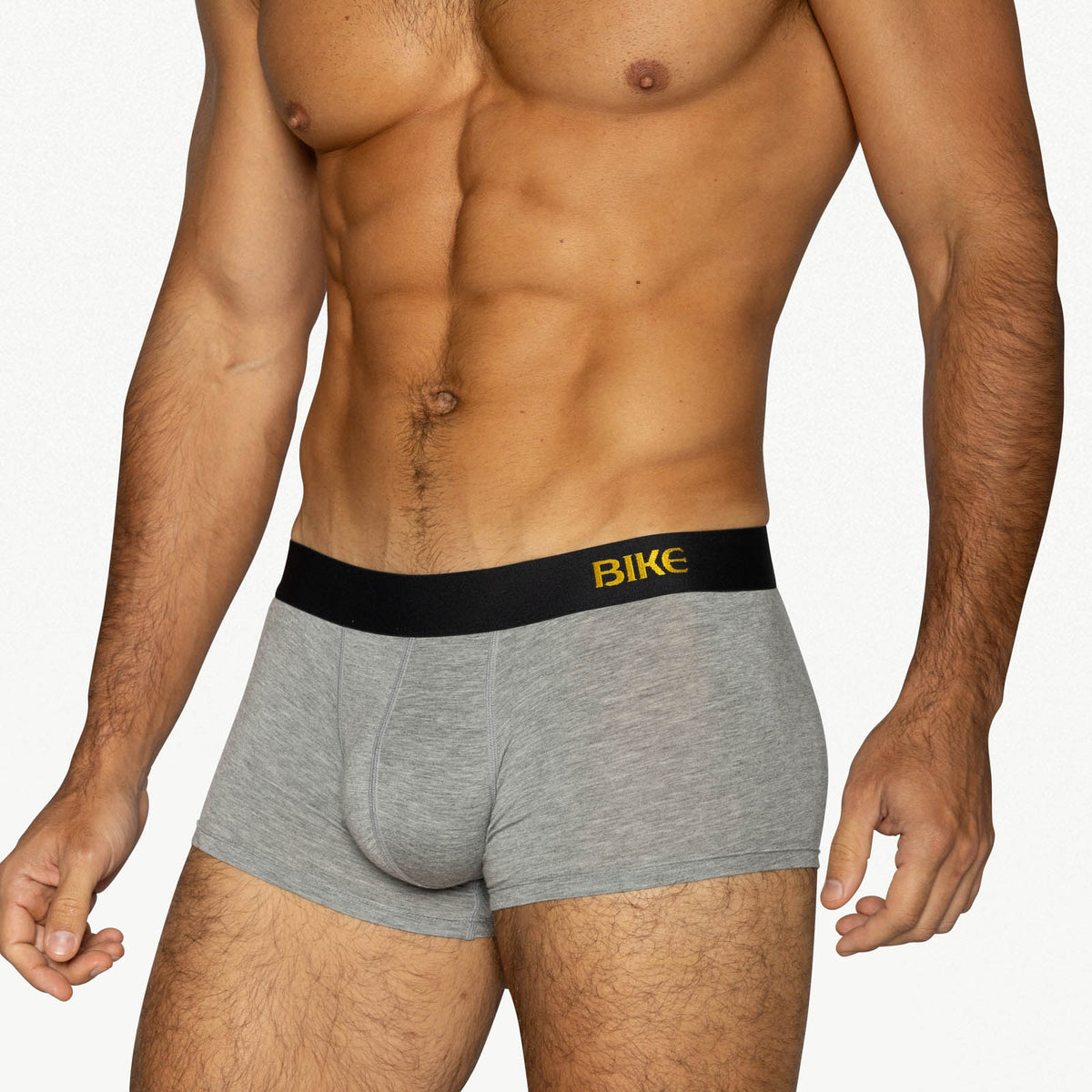Active Trunk image