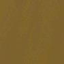 BAM225KHI_Peek a booJockShort_Khaki_10414_F